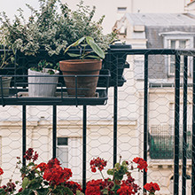 Roof garden 